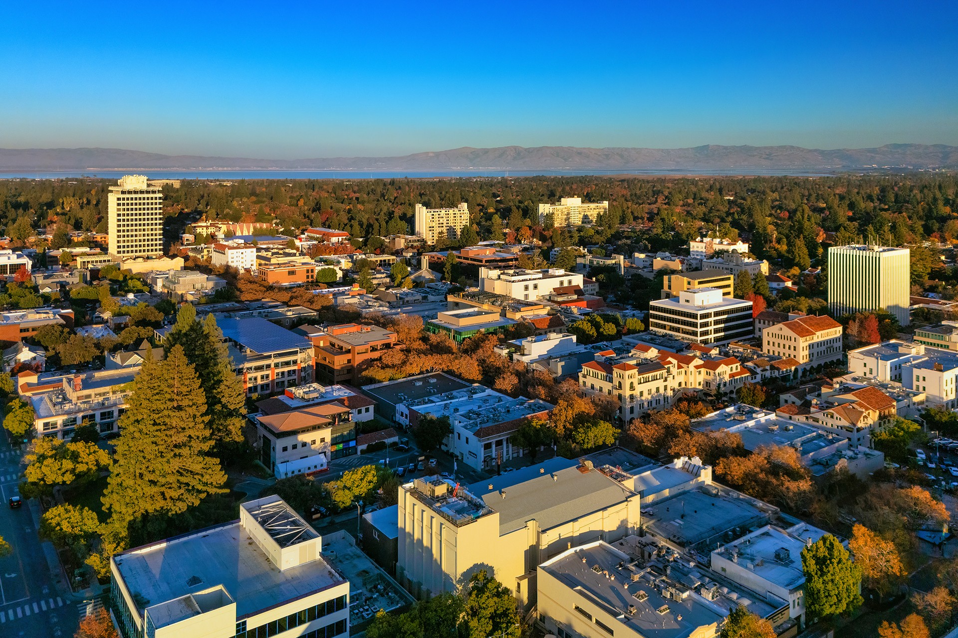 Palo Alto