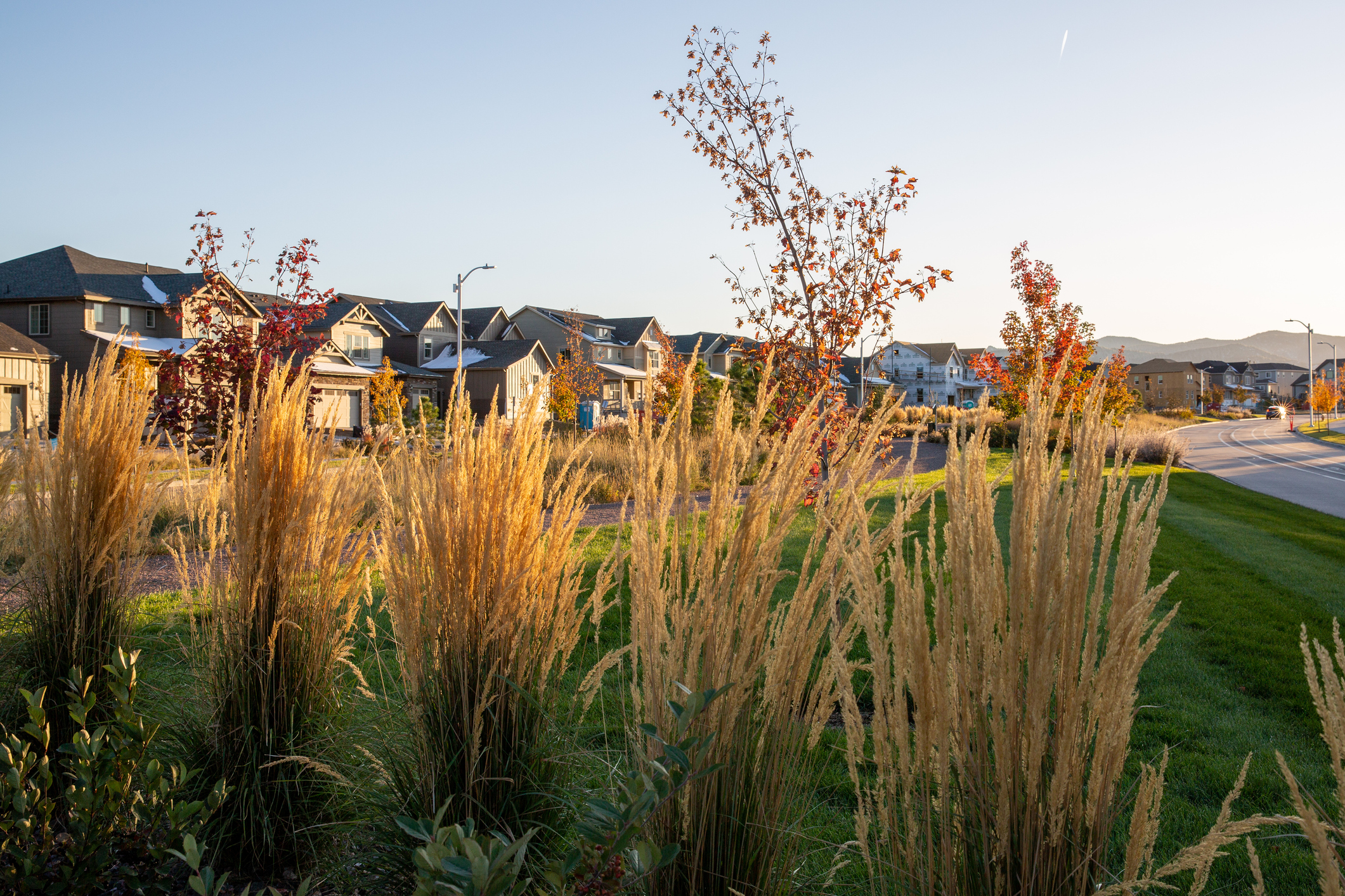 Greenwood Village