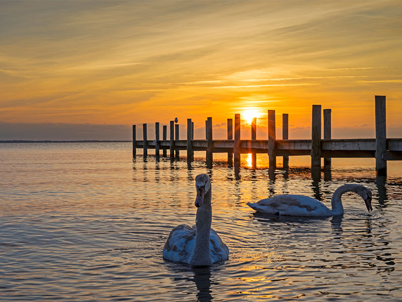 Barnegat