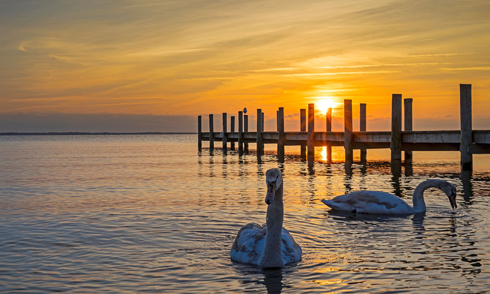 Barnegat Township