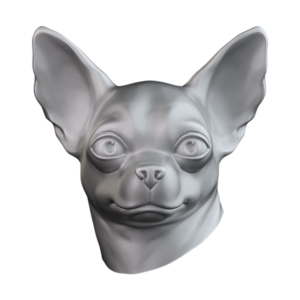 Chihuahua CHIH101