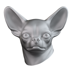 Chihuahua CHIH102