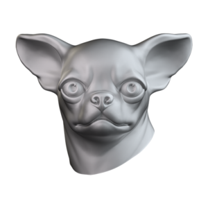 Chihuahua CHIH103