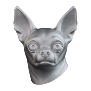 Chihuahua CHIH104