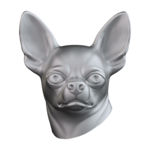 Chihuahua CHIH107