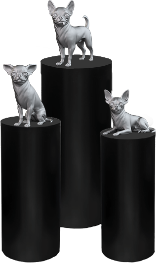 Pet Declaration memorial urns displayed on pedestals