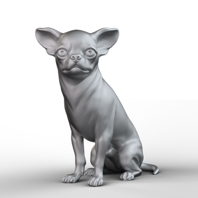 Chihuahua CHIH103