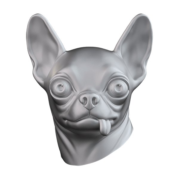 Chihuahua CHIH110