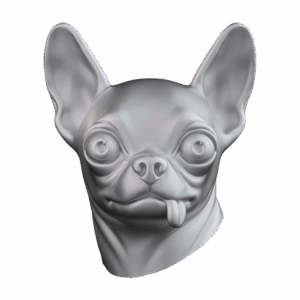 Chihuahua CHIH110