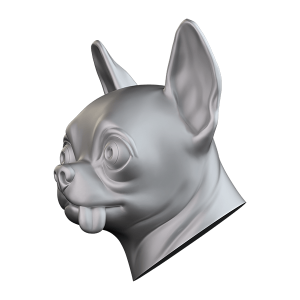 Chihuahua CHIH110