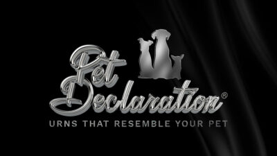 opciones de moneda de pet declaration