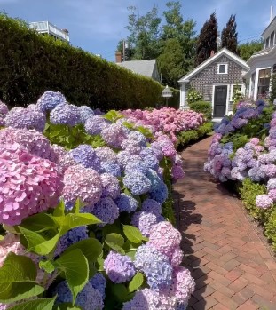 Happy Sunday, everyone!