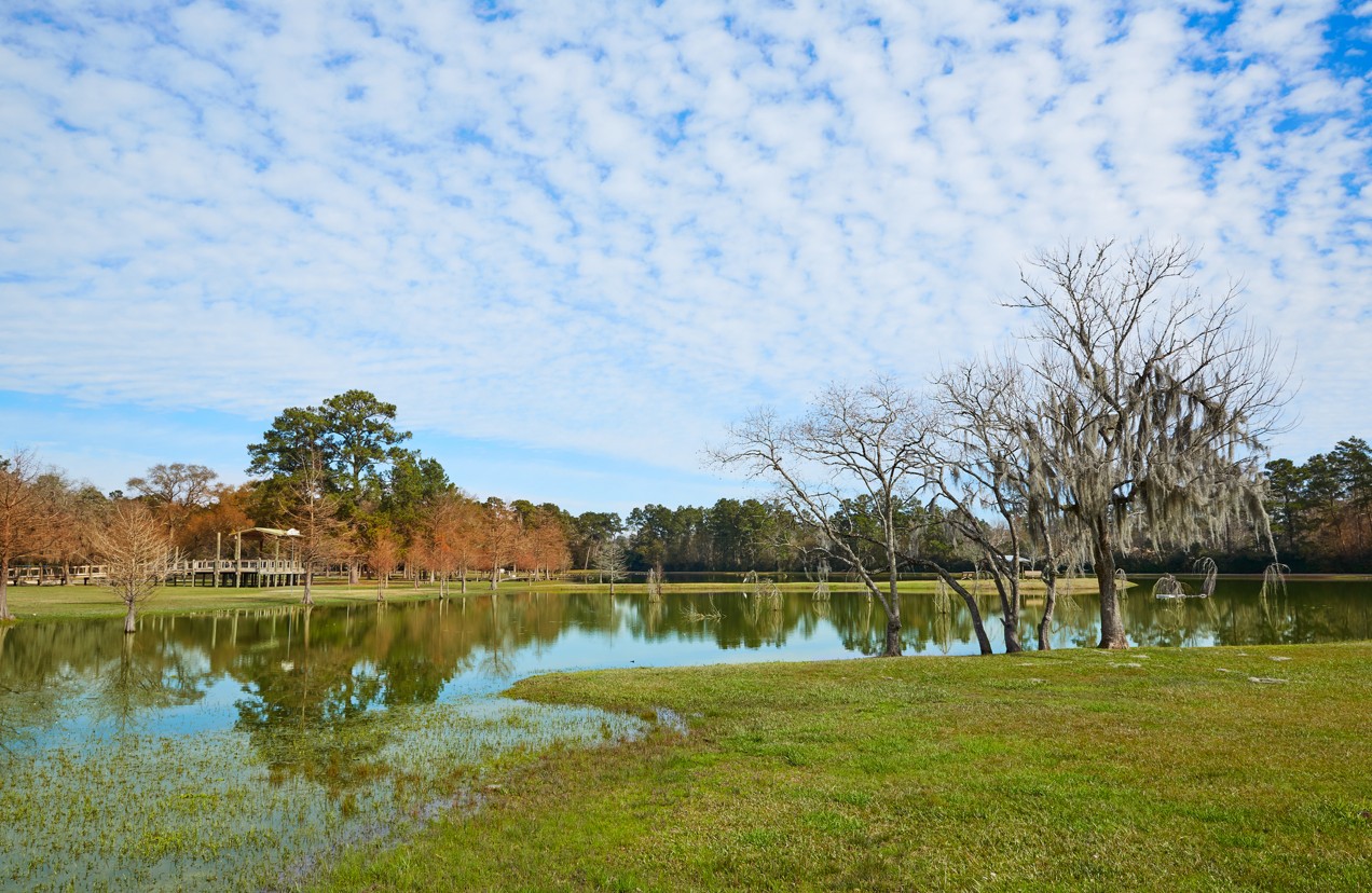 Featured Communites - <span>Friendswood</span> <span></span>