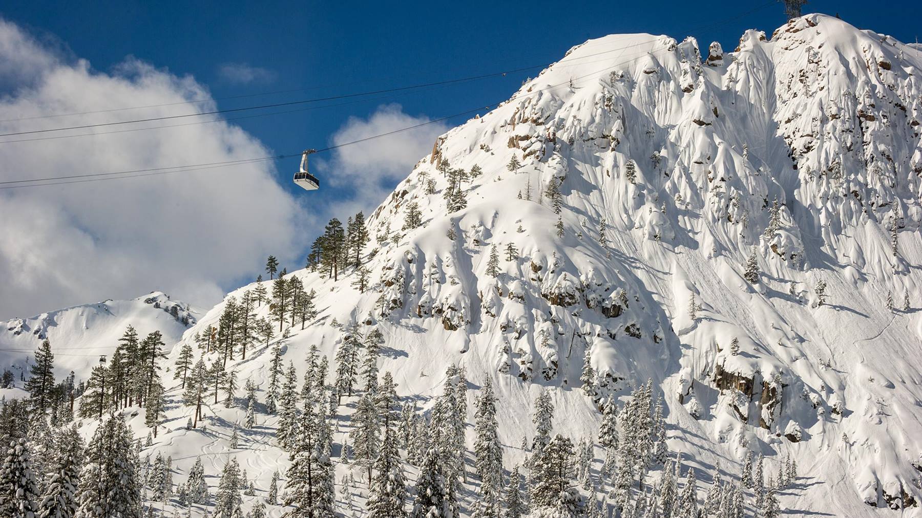 Tram Face - Palisades Tahoe