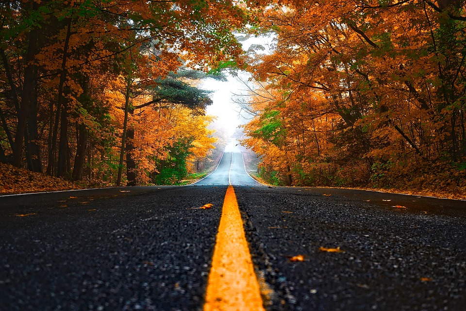 Autumn road