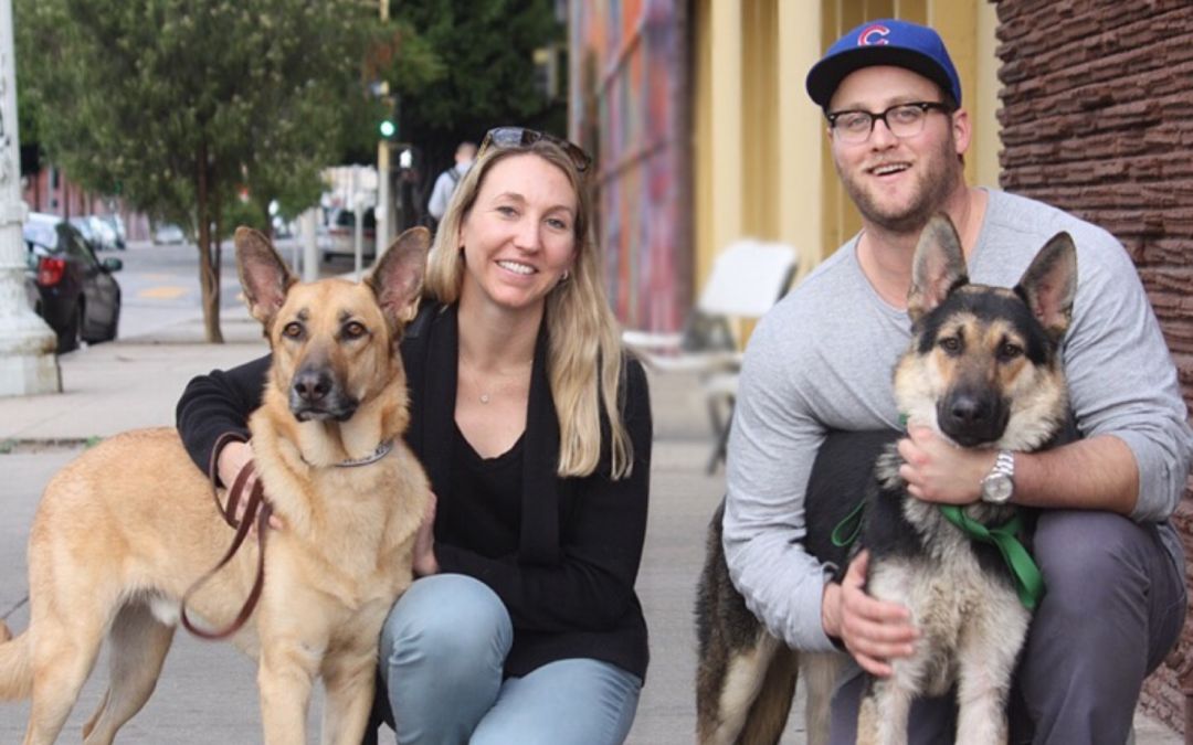 Adopt a Pet Day