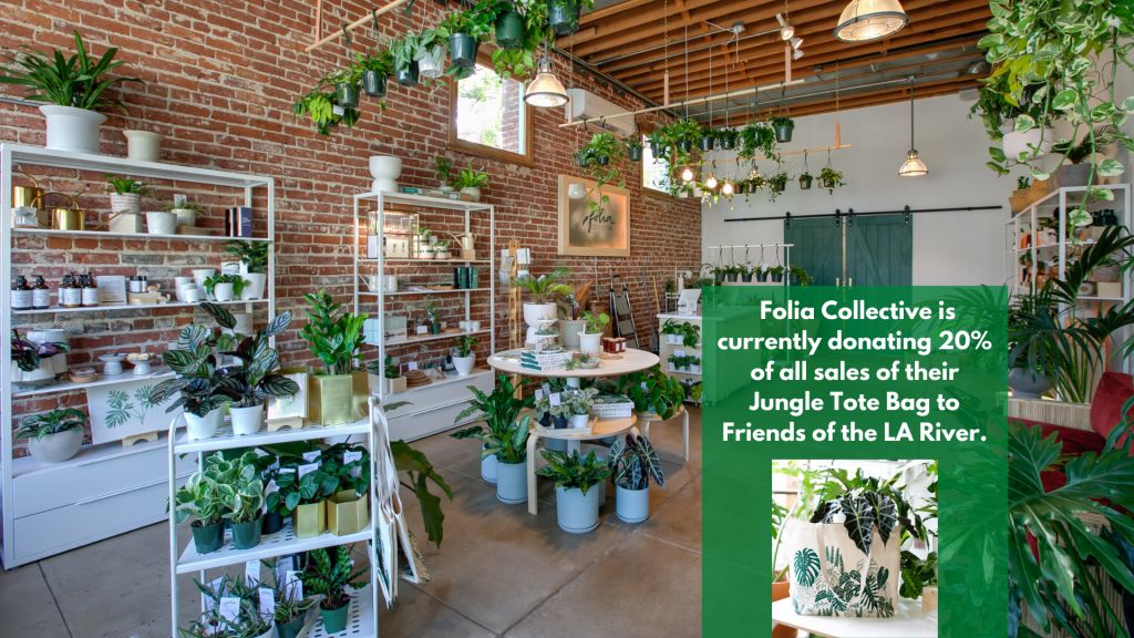 Folia Collective