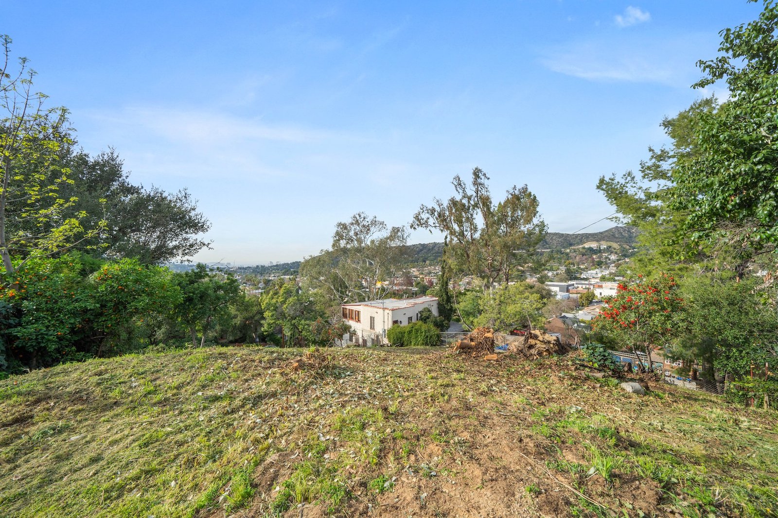 Property Banner