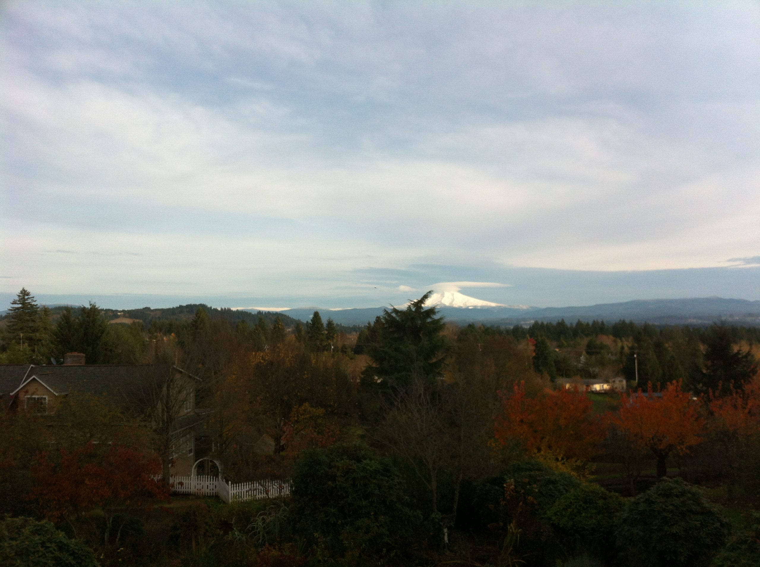 Portland