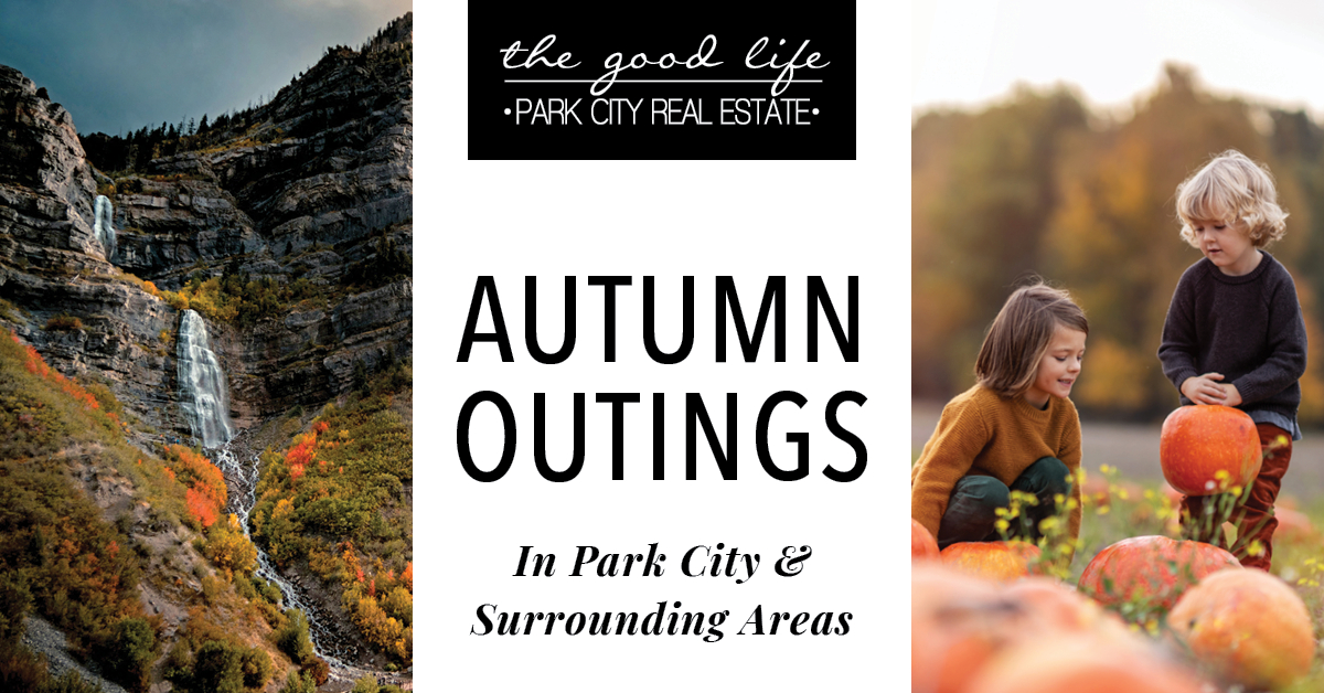 Autumn Outings