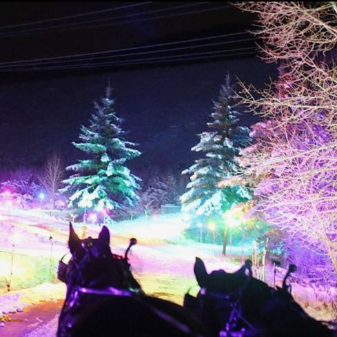 2024-25 Winter Events & Lifestyle Newsletter