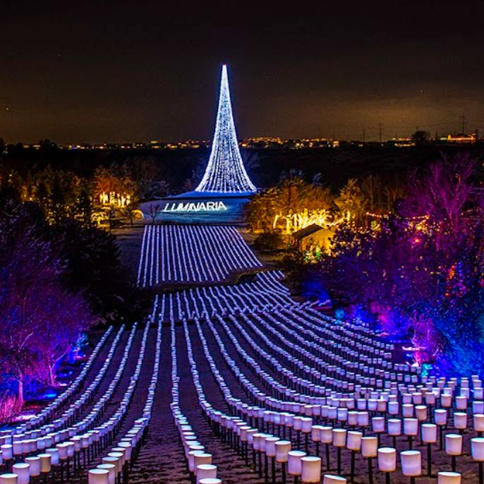 2024-25 Winter Events & Lifestyle Newsletter
