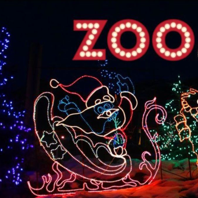 2024-25 Winter Events & Lifestyle Newsletter