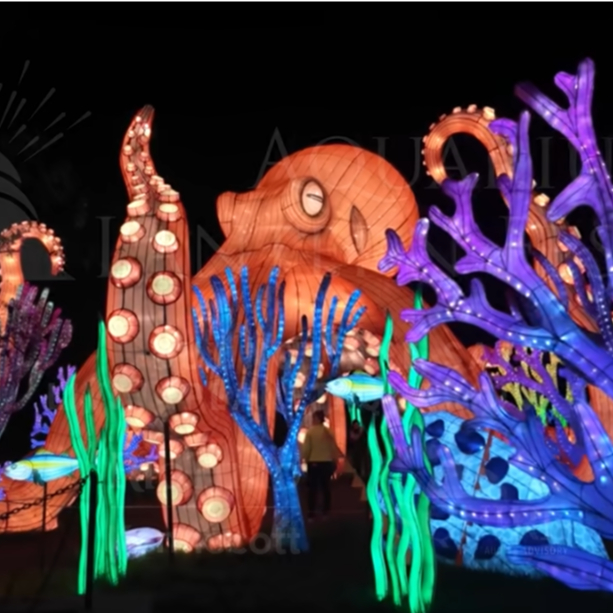 2024-25 Winter Events & Lifestyle Newsletter