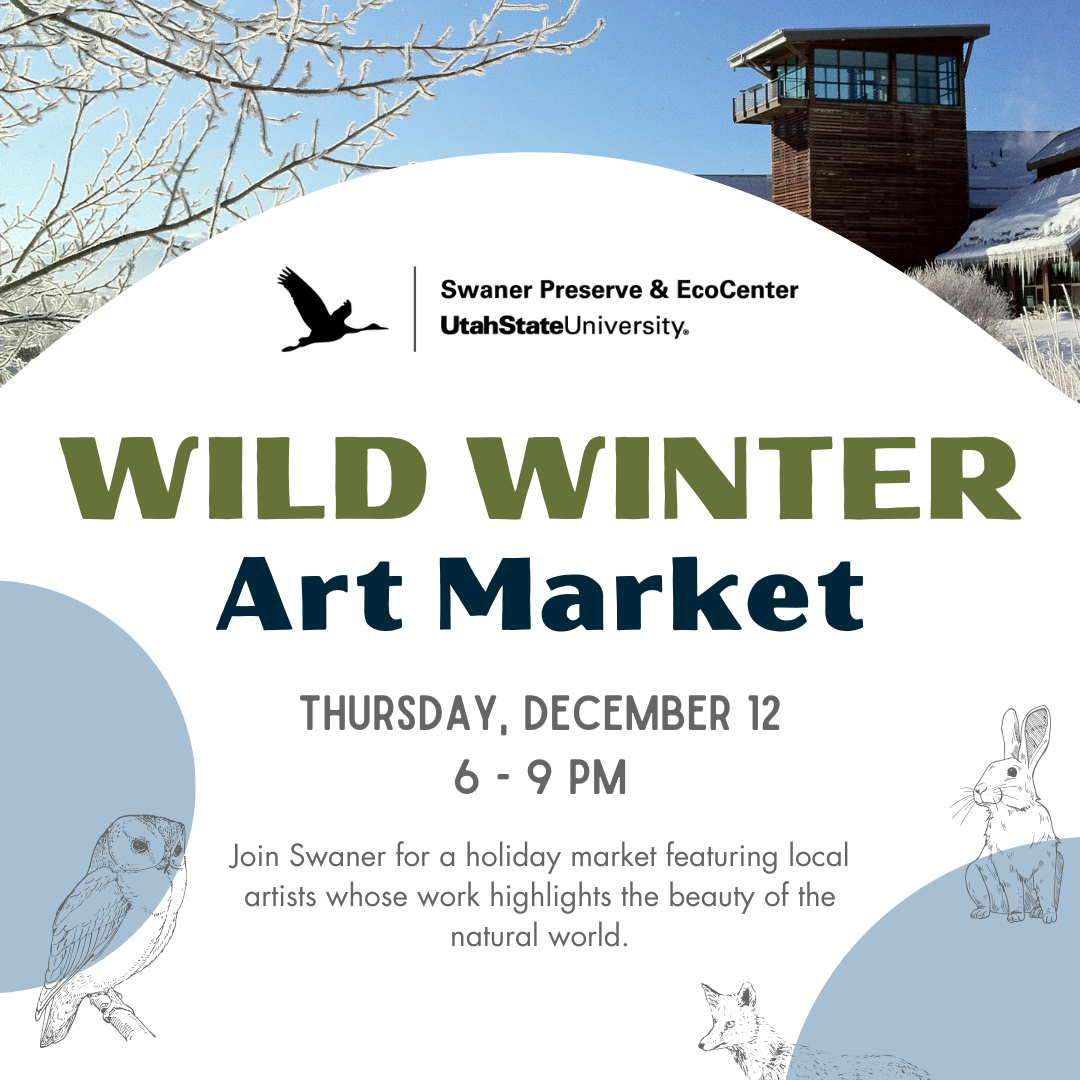 2024-25 Winter Events & Lifestyle Newsletter