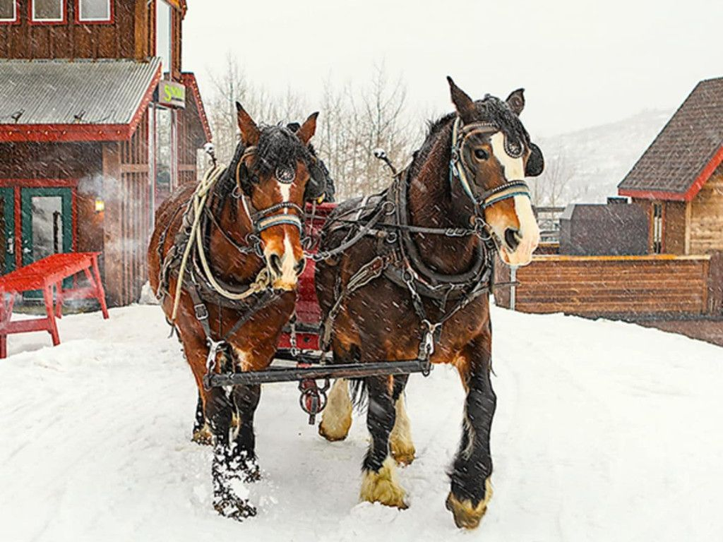 2024-25 Winter Events & Lifestyle Newsletter