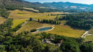 01 DJI_0073 Color Balance - 2373NThird