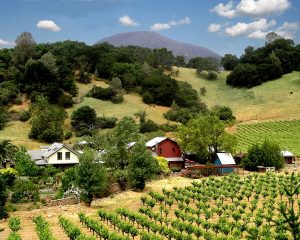 01 - The Whole Farm- 3106PalisadesRd