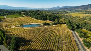02 DJI_0097 Color Balance - 2373NThird