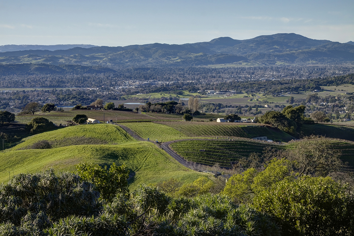 02 _MG_1001adjust- 1221GreenValleyRd