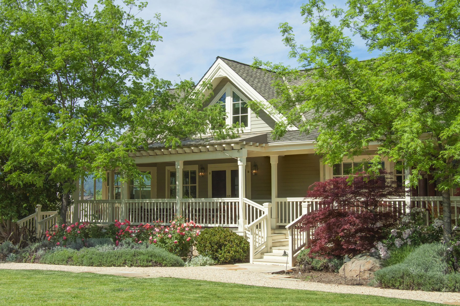 02 _MG_1452adjust EDIT - 1500ZinfandelLane