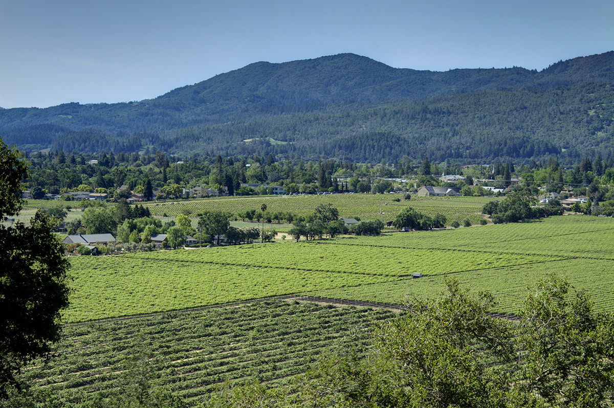 02 - _MG_1669adjust - 173KnollPlace