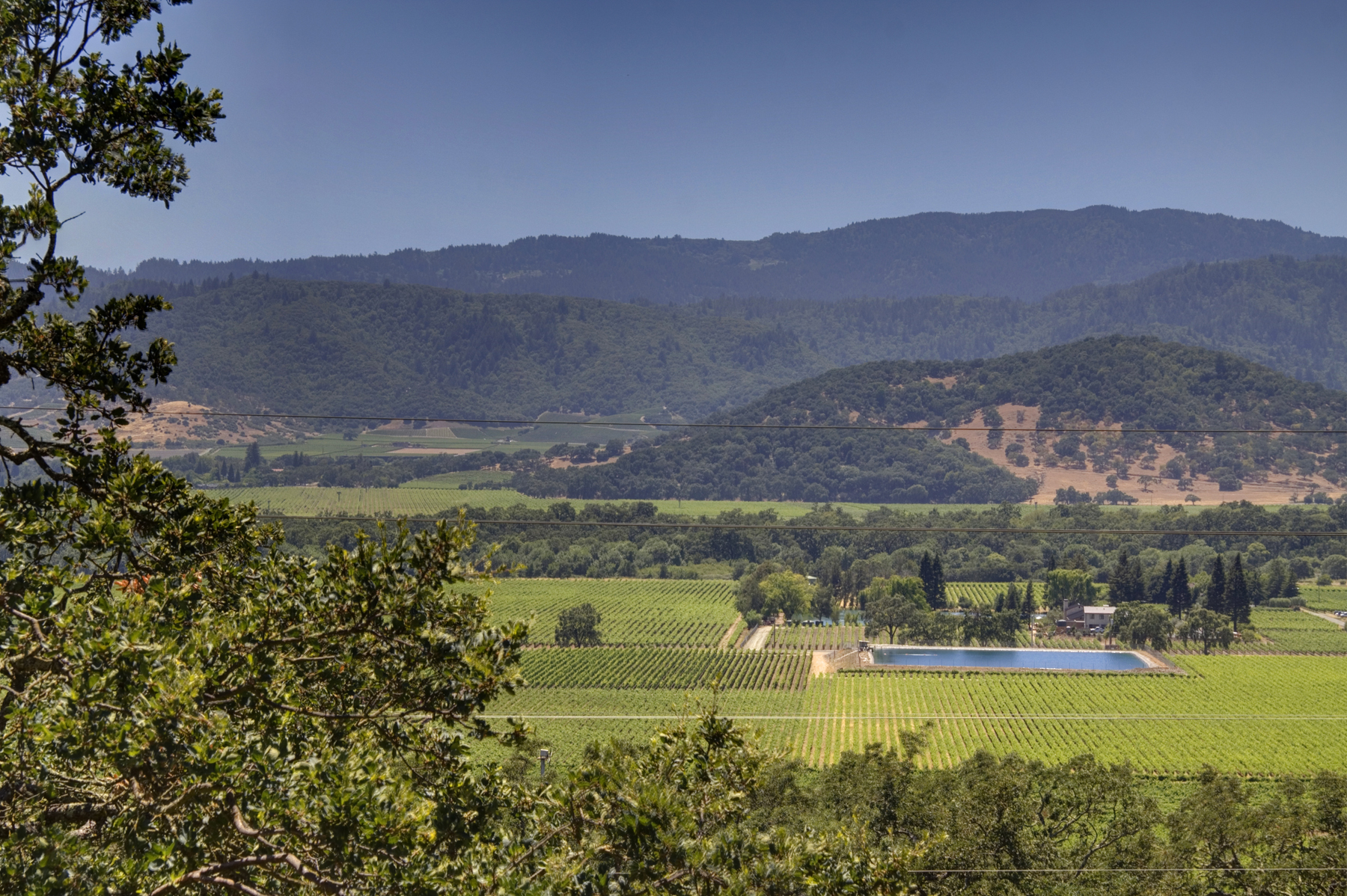 02 _MG_7156adjust- 7040SilveradoTrl