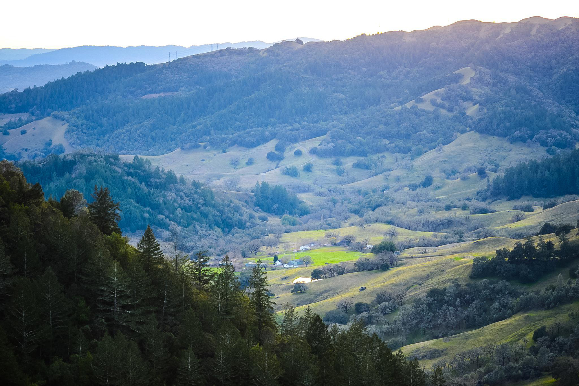 02 - c2 smaller - SantaAngelinaRanch