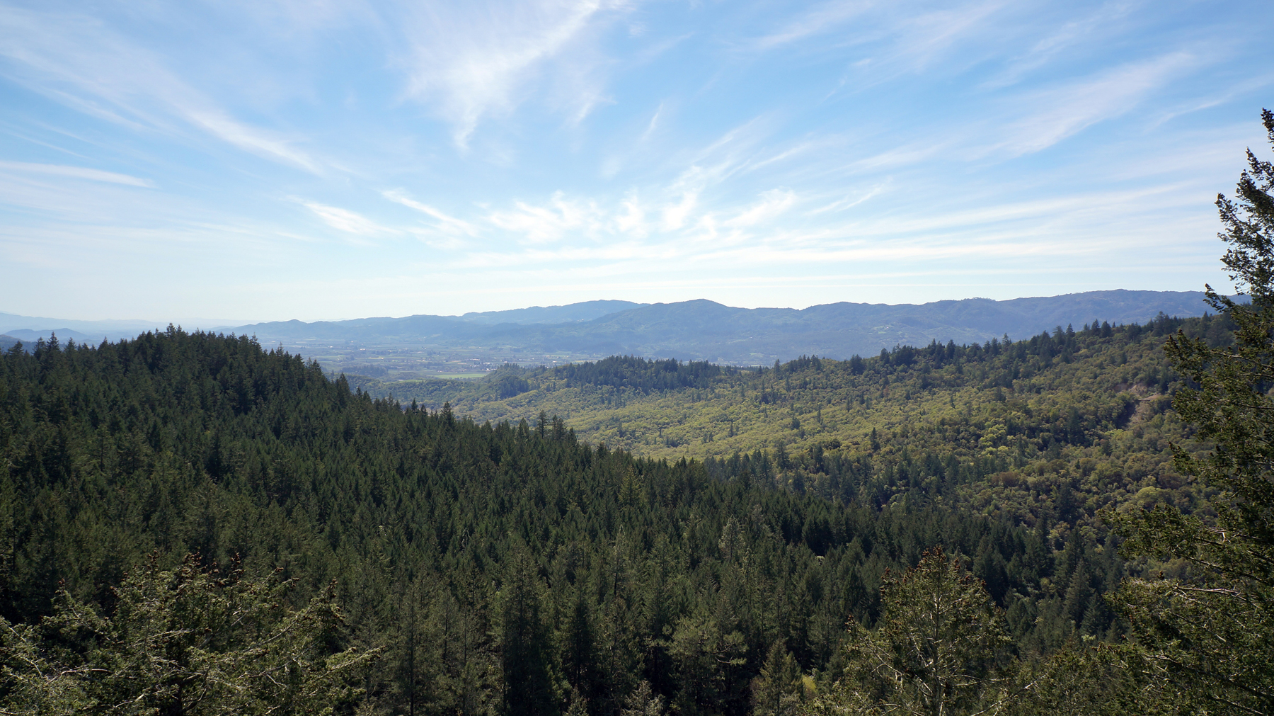 03 View- 660LindaFalls