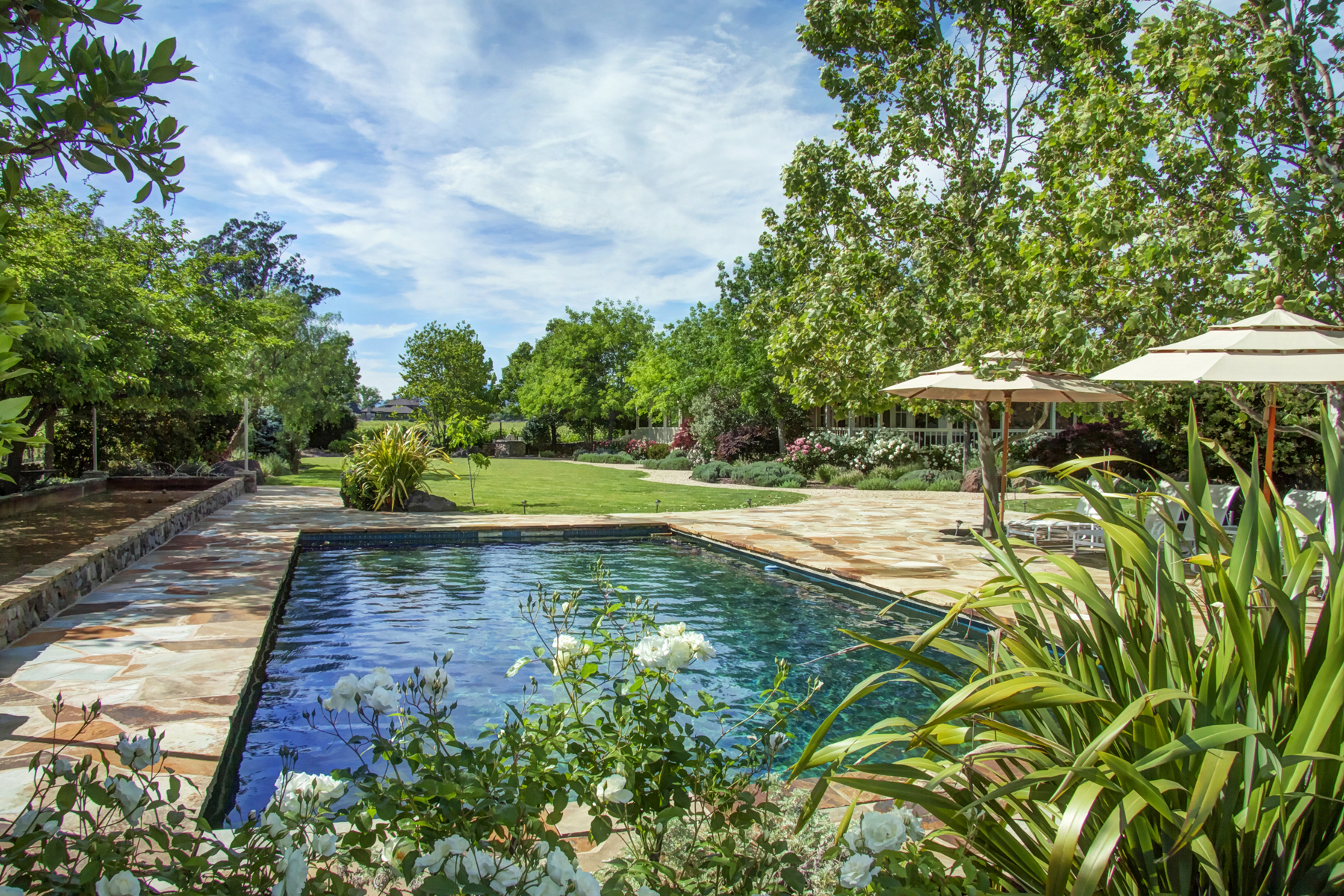 03 _MG_1616adjust EDIT - 1500ZinfandelLane