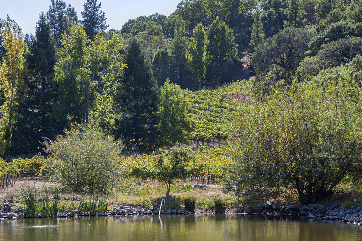 03 _MG_7929adjust - 2373NThird