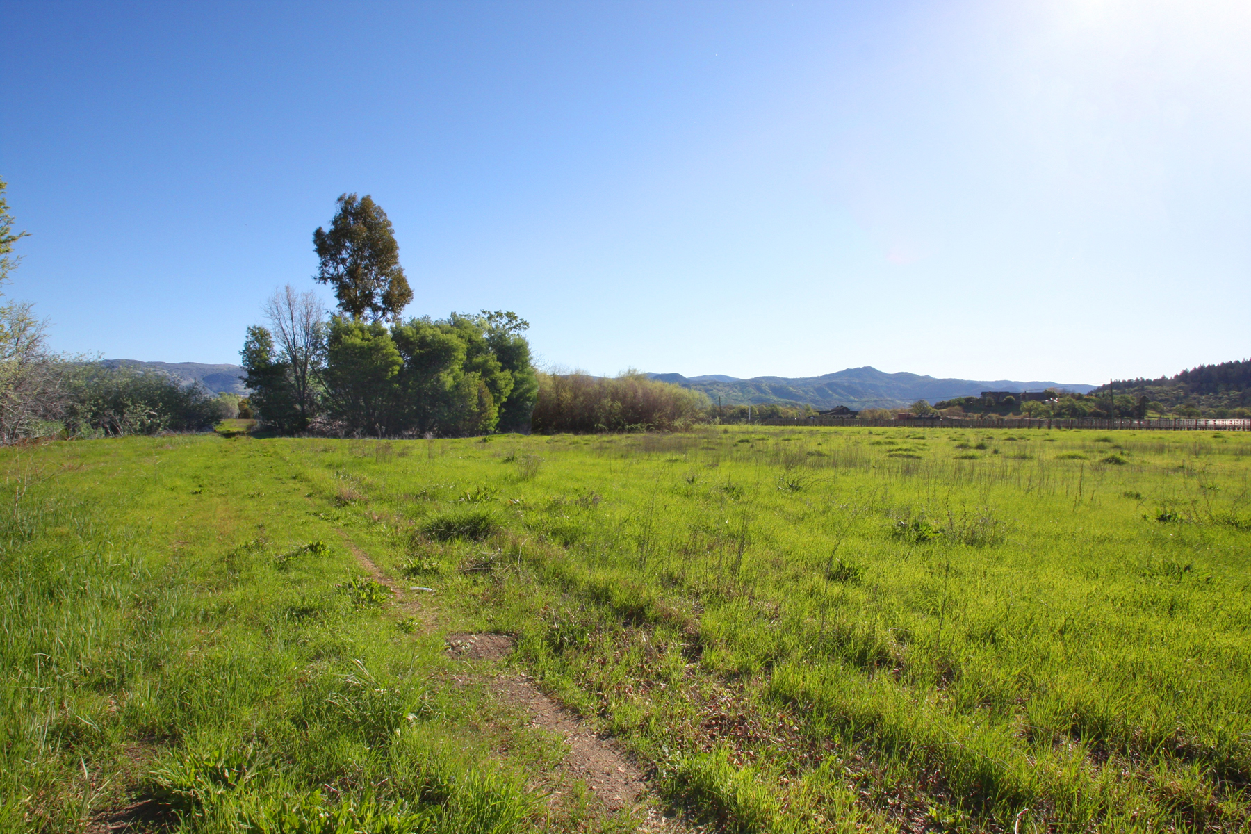 04 IMG_0032-EDIT- StHelenaHwyHamm