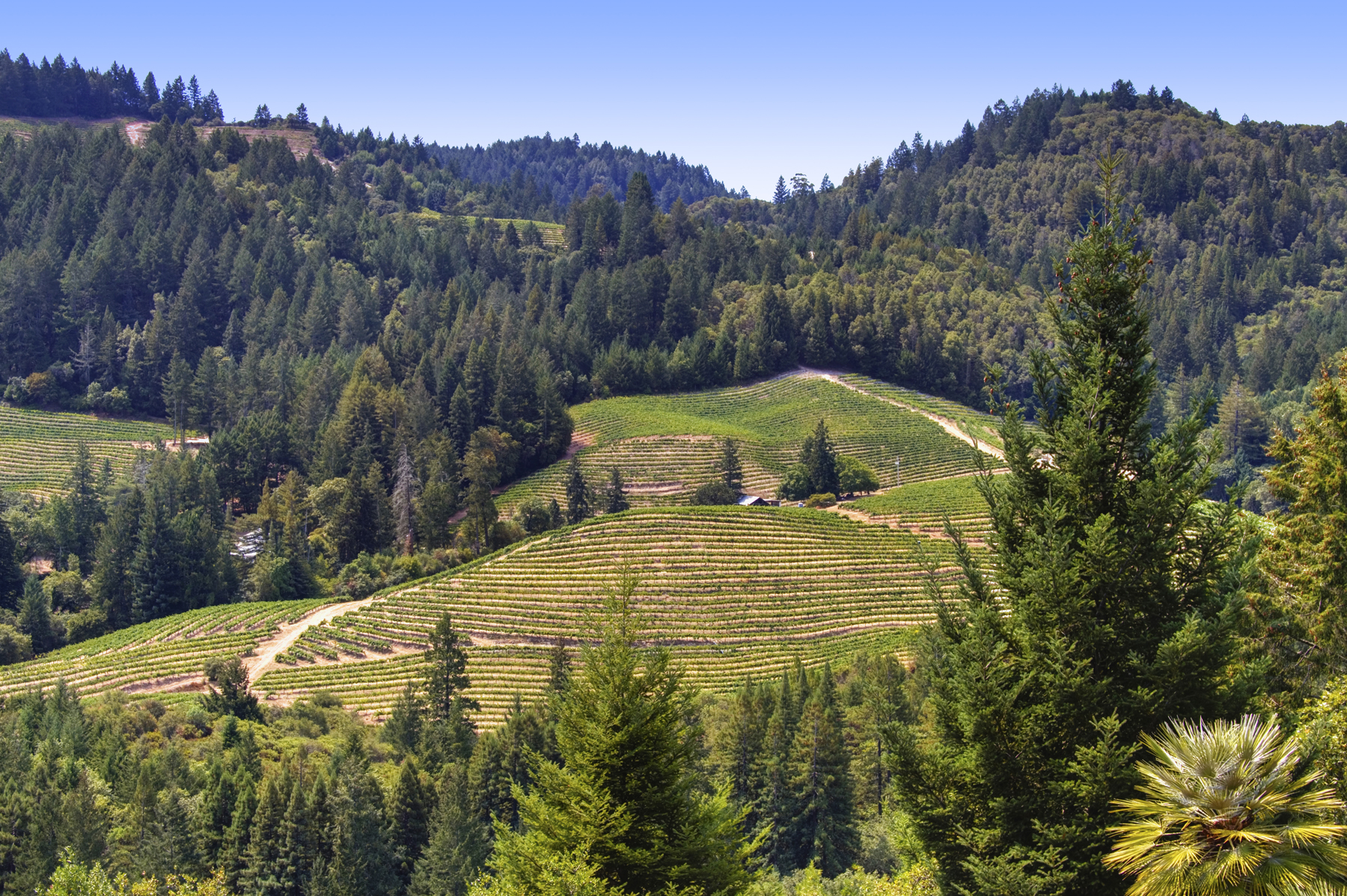 04 IMG_4258adjust EDIT- 369KortumCanyonAndrews