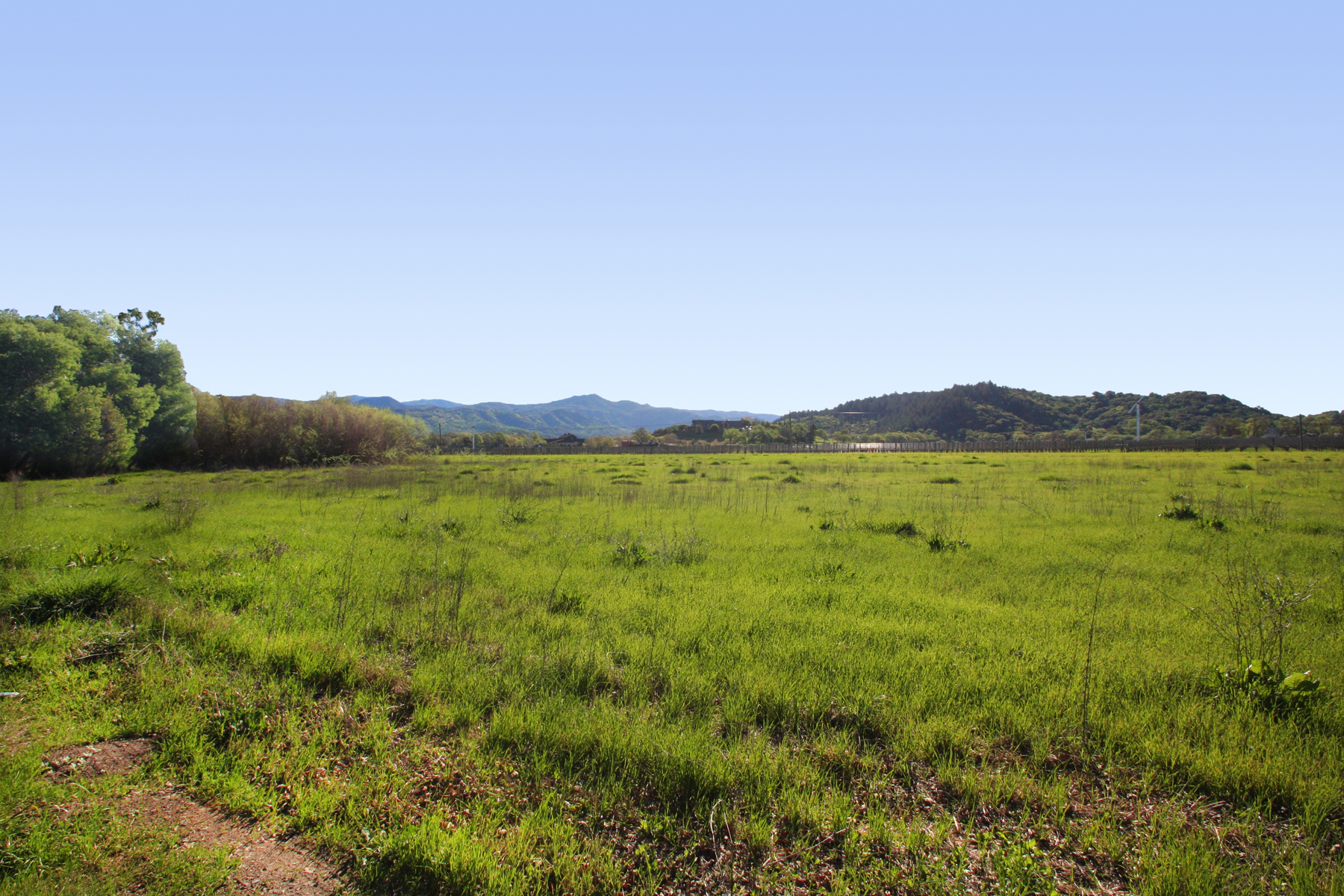 05 IMG_0040-EDIT- StHelenaHwyHamm