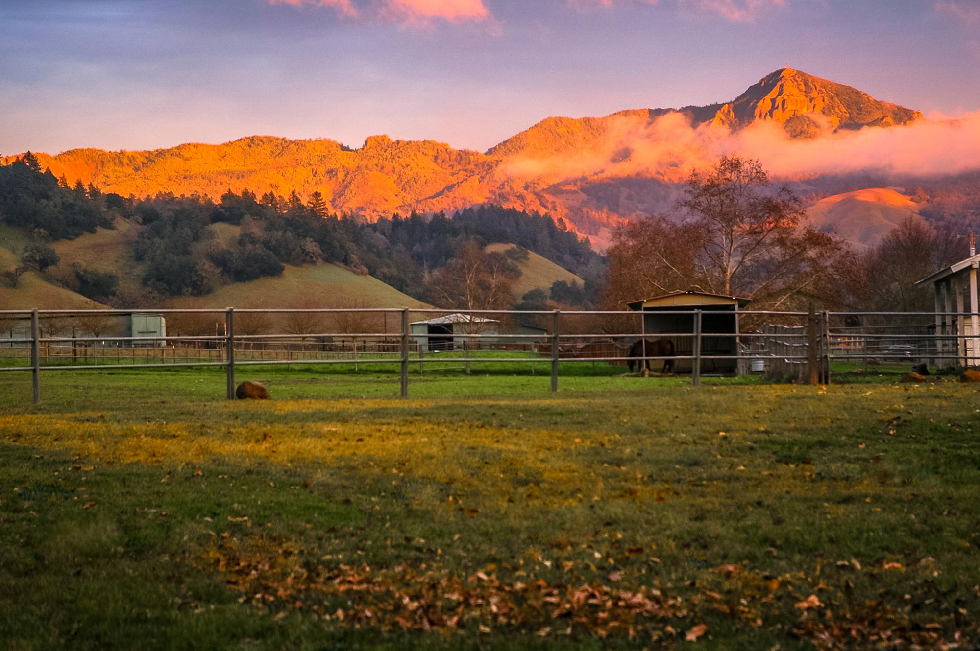 05 - c12 4 smaller - SantaAngelinaRanch