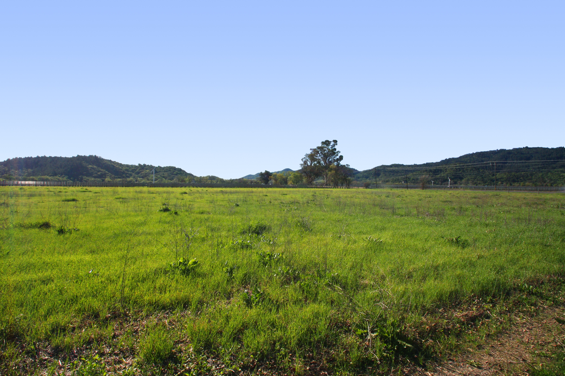 06 IMG_0046-EDIT- StHelenaHwyHamm