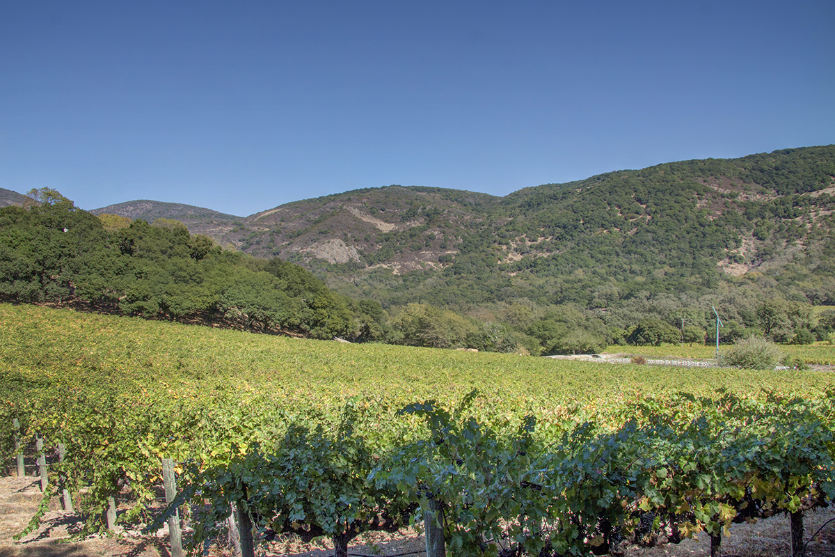 06 _MG_7959adjust - 2373NThird