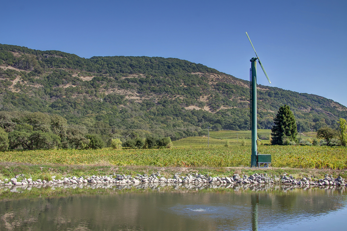 07 _MG_7939adjust - 2373NThird