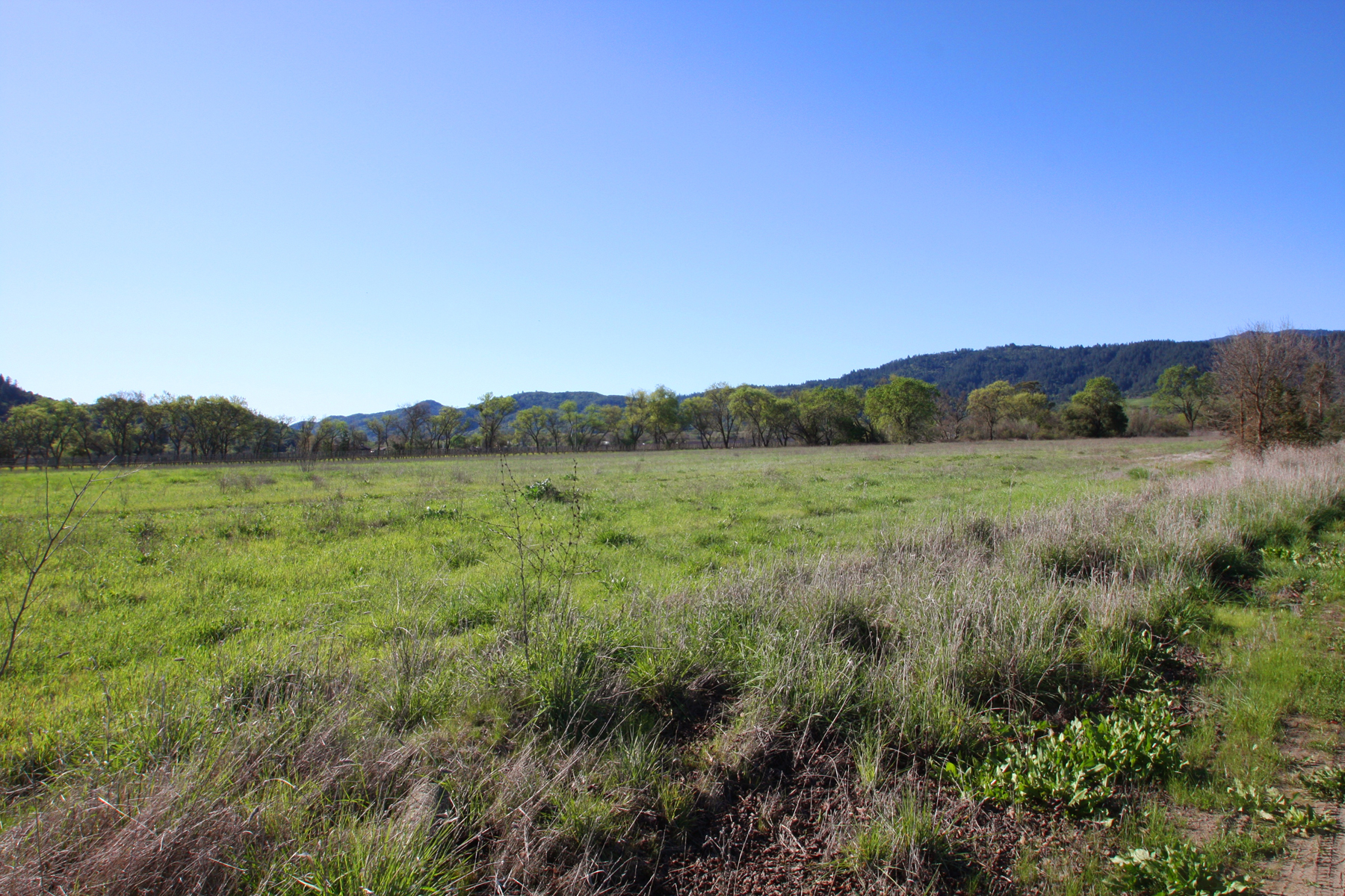 09 IMG_0111-EDIT- StHelenaHwyHamm