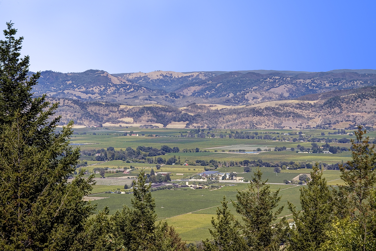 09 _MG_3413adjust EDIT- 1799OakvilleGrade